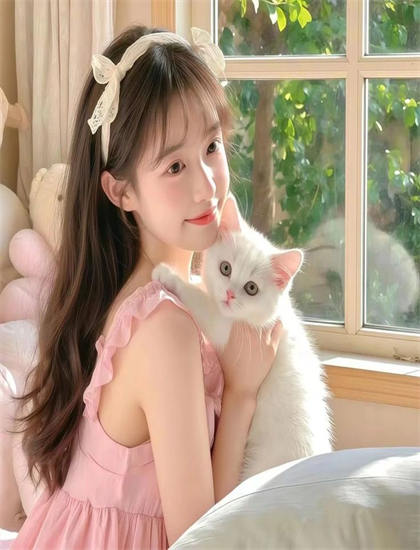 CCTV13在线直播观看正在直播L13_阁楼男女中文版_电视剧《朝雪录》免费观看